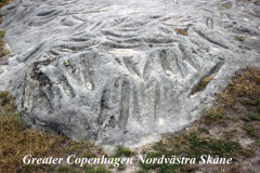 Smultronställen på Kullahalvön-Sliprännor Viken