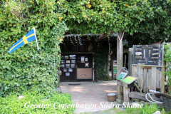 Saker du kan göra i Skåne län-Bärnstensmuseet