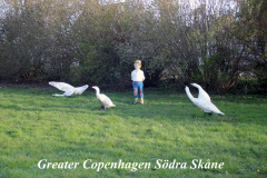 Saker du kan göra i Skåne län-Skolmuseet i Västra Vemmenhög