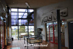 Semester i Sverige med Barn - Havsdrakarnas Hus