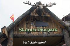 Semester i Sverige med Barn - Skånes Djurpark