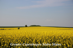 Smultronställen i Skåne-Bolmers högar
