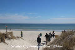 Stränder i Skåne-Sandhammaren havsbad