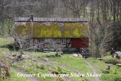Kivik