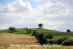 sterlen karta_1